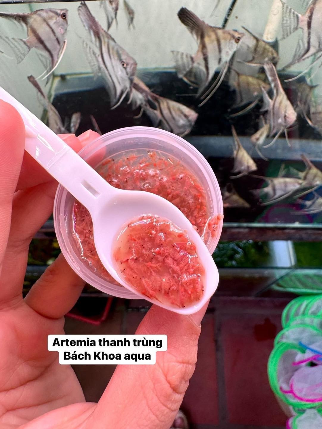 Thức ăn YEE Artemia thanh trùng 360gr